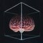 Box of Mine (Mind)