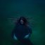 Dryland - Single