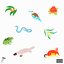 Botanicals [Explicit]