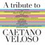 A Tribute To Caetano Veloso