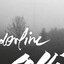 Borderline Collie