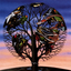 Avatar for Arvid20030930