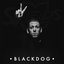 Black Dog - Single