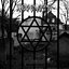 Holocaust