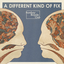 Bombay Bicycle Club - A Different Kind of Fix album artwork