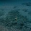 Underwater