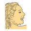 Animal Chin