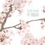 桜レゲエ