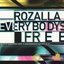 Everybody's Free (Remix)