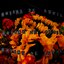 brisas de abril - Single
