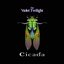 Cicada