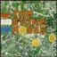 The Stone Roses (US Version)