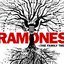 Ramones (The Family Tree) Disc 2