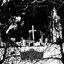 The Ghost Gardener / Gloria's Garden