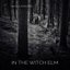 In the Witch Elm - Single