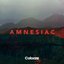 Amnesiac