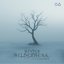 Winter Wilderness EP