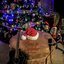 Alone in December - Single