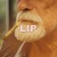 Lip