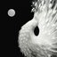 Yin and Yang
