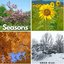 Seasons