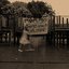 Songs About Children