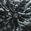Cruel Bones