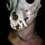Avatar for Antaresia