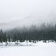 Winter Drones