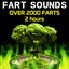 Fart Sounds - Over 2000 Farts (2 Hours)