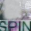 Spin