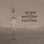 Slow Motion Suicide