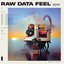Everything Everything - Raw Data Feel album artwork