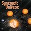 Synergetic Universe