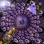Many Worlds