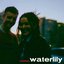 Waterlily - Single