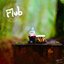 Flub