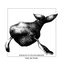 Only the Earth - Single