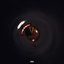 Telegram (feat. Lokman) - Single