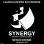 Synergy (Abstract Elements Remix) / Monochrome