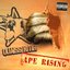 Ape Rising