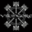 VikingoreSpain 的头像