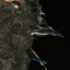 Avatar de pandorawidow