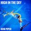 High in the Sky