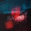 Kennzeichen raten - Single