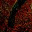 Ghost / Embers