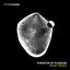 Purveyor of Pleasure (Moby Remix)