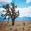 Another Man's Treasure (Deluxe)