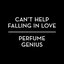 Can't Help Falling in Love - Single