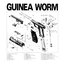 Guinea Worm